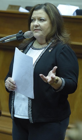 Representative Donna Lichtenegger (photo; Tim Bommel, Missouri House Communications)